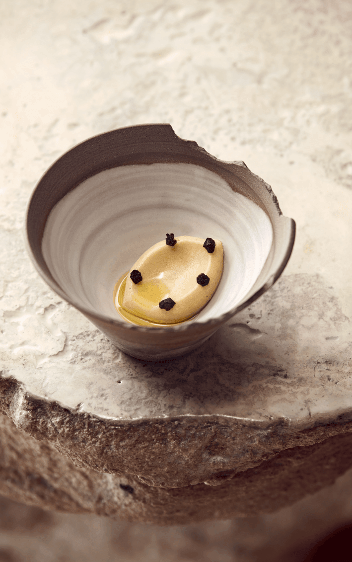 Tisane — photo 1