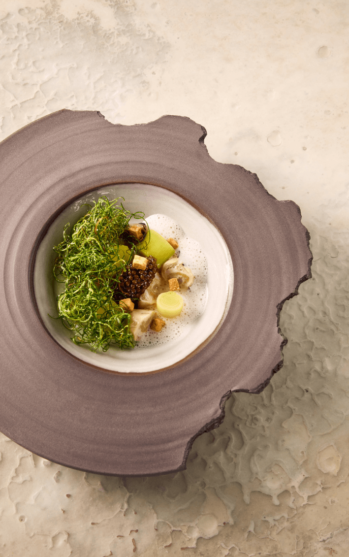 Tisane — photo 3