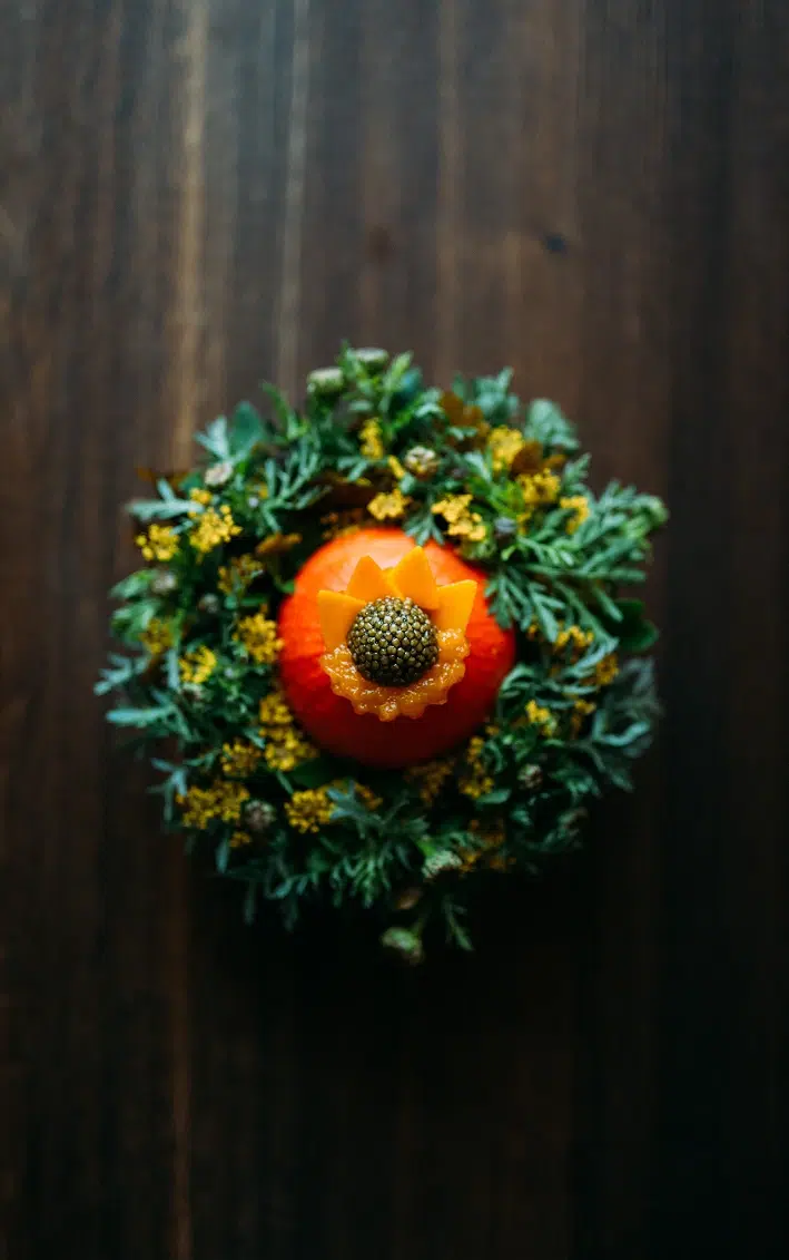 Alouette — photo 3