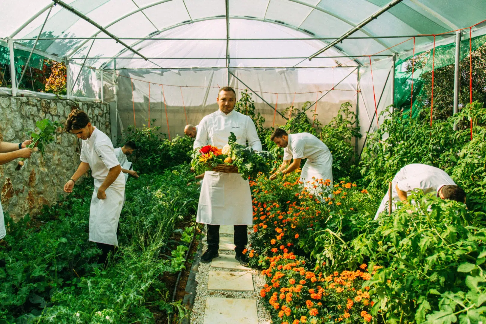 Bouquet from the Farm by Chef Petros Dimas