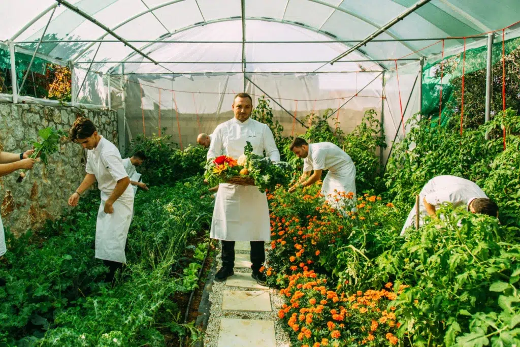 The Makris Athens team in rhythm with nature – sourcing, selecting, sensing. - The Bouquet From the Farm