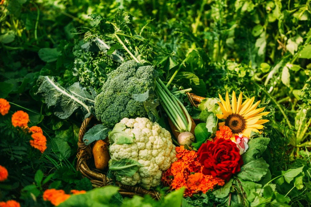 Seasonal vegetables and edible flowers from the family farm in Ancient Corinth. - The Bouquet From the Farm
