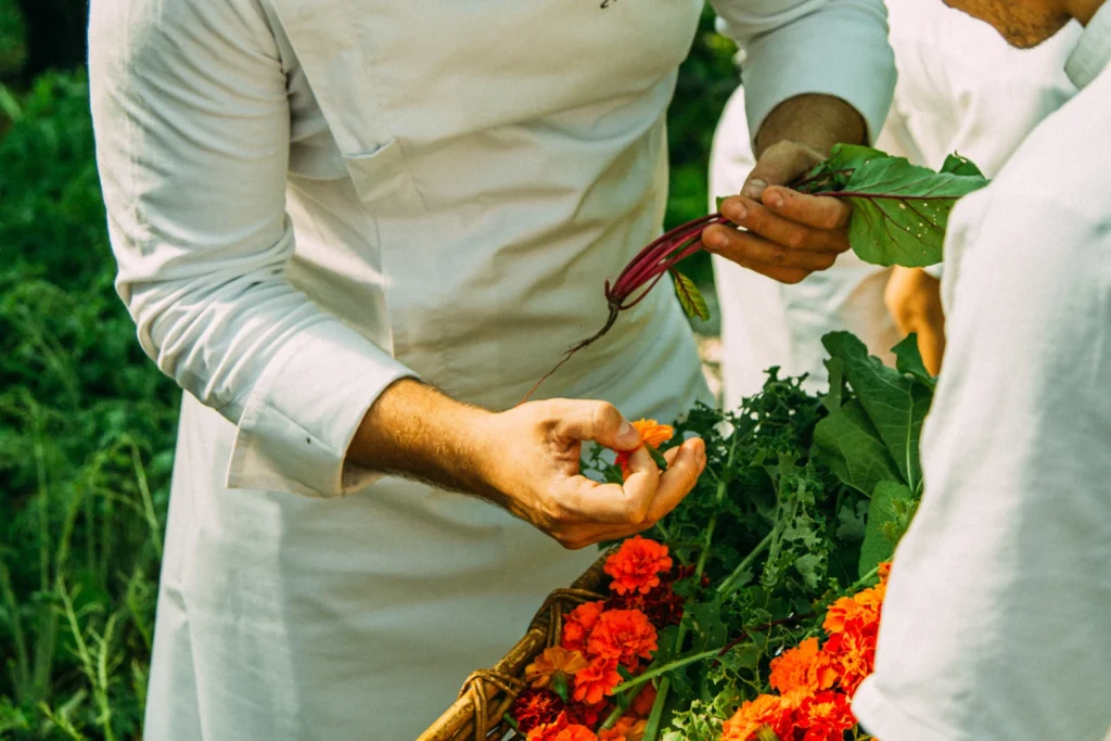 Hands at work in the garden, harvesting ingredients for the bouquet. - The Bouquet From the Farm
